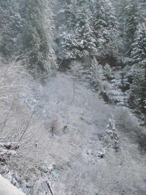 11.27.05 Nesmith Point 057 